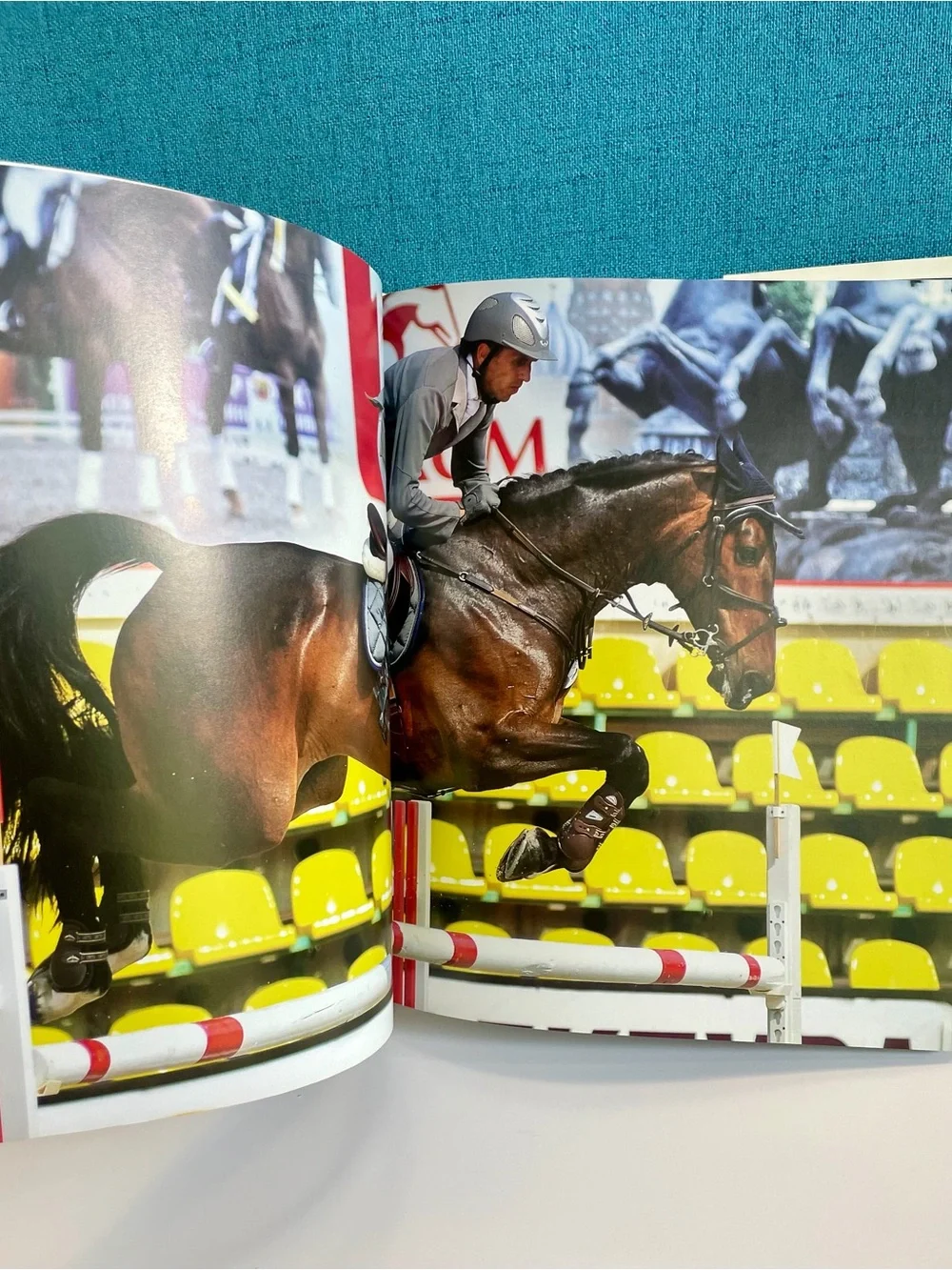 Enchanting Horses by Jennifer Anderson Hardcover book